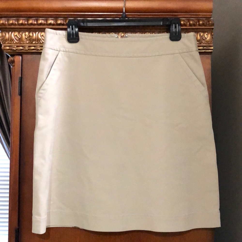 Banana Republic skirt